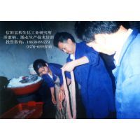 肝素鈉加工項目——助力農村創業的投資良機