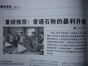 石粉塑化劑機(jī)械設(shè)備技術(shù)轉(zhuǎn)讓 開(kāi)啟農(nóng)村創(chuàng)業(yè)辦廠新藍(lán)海